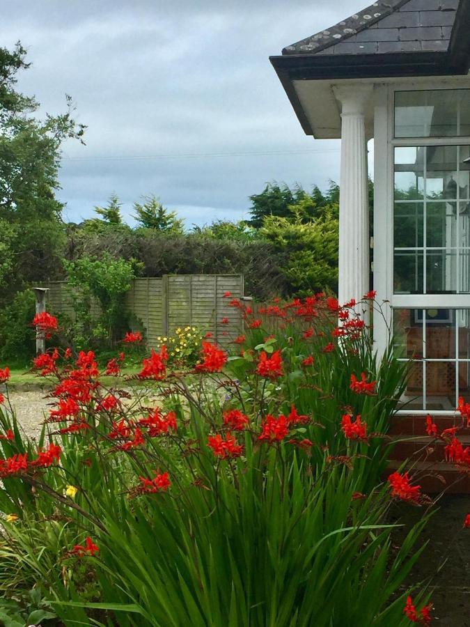 Padua Guest Accommodation Rosslare Rosslare Harbour Exterior photo